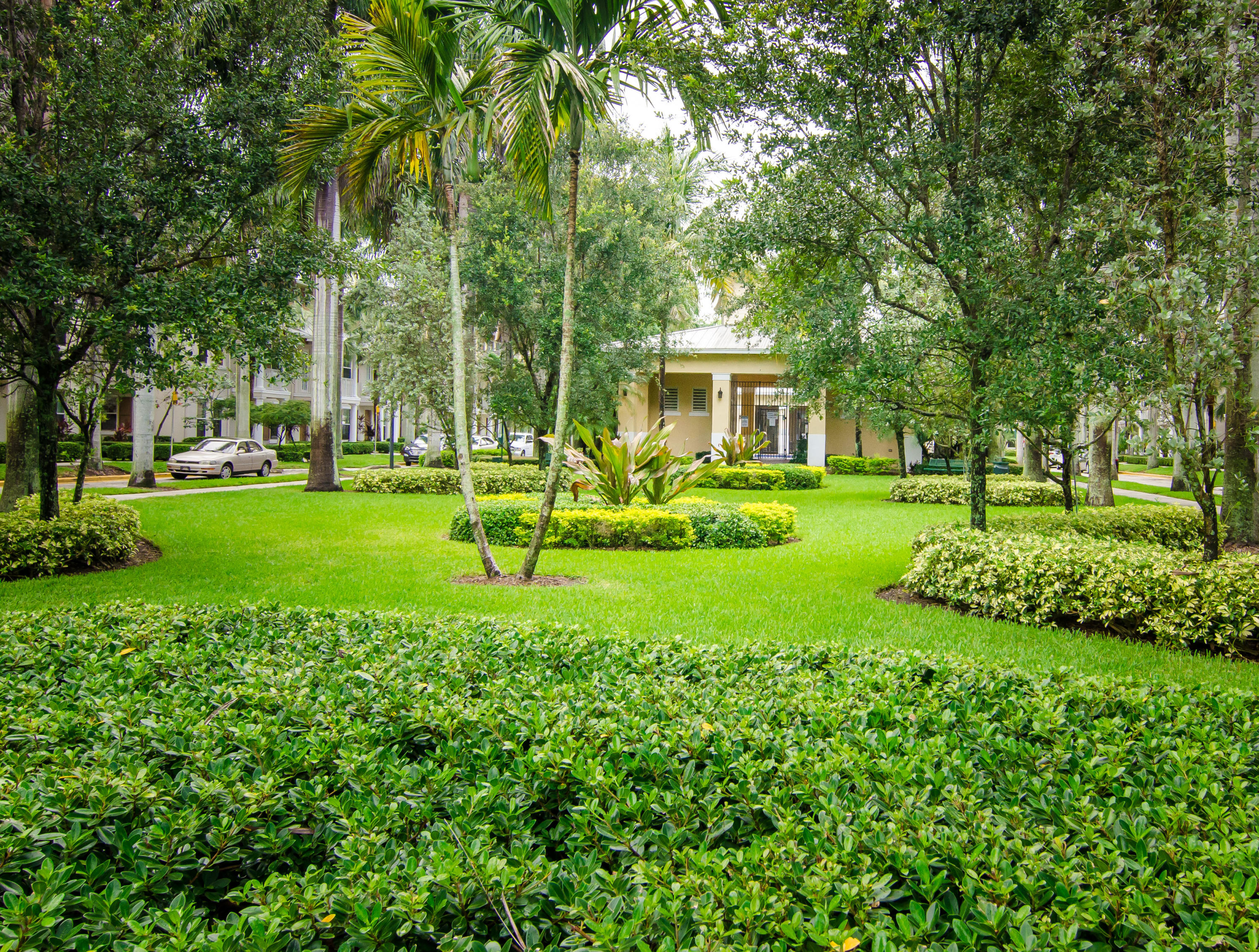 4281 East Main Street Jupiter, FL 33458 - Photo 35 of 37 a view of a house with a big yard and potted plants and large trees