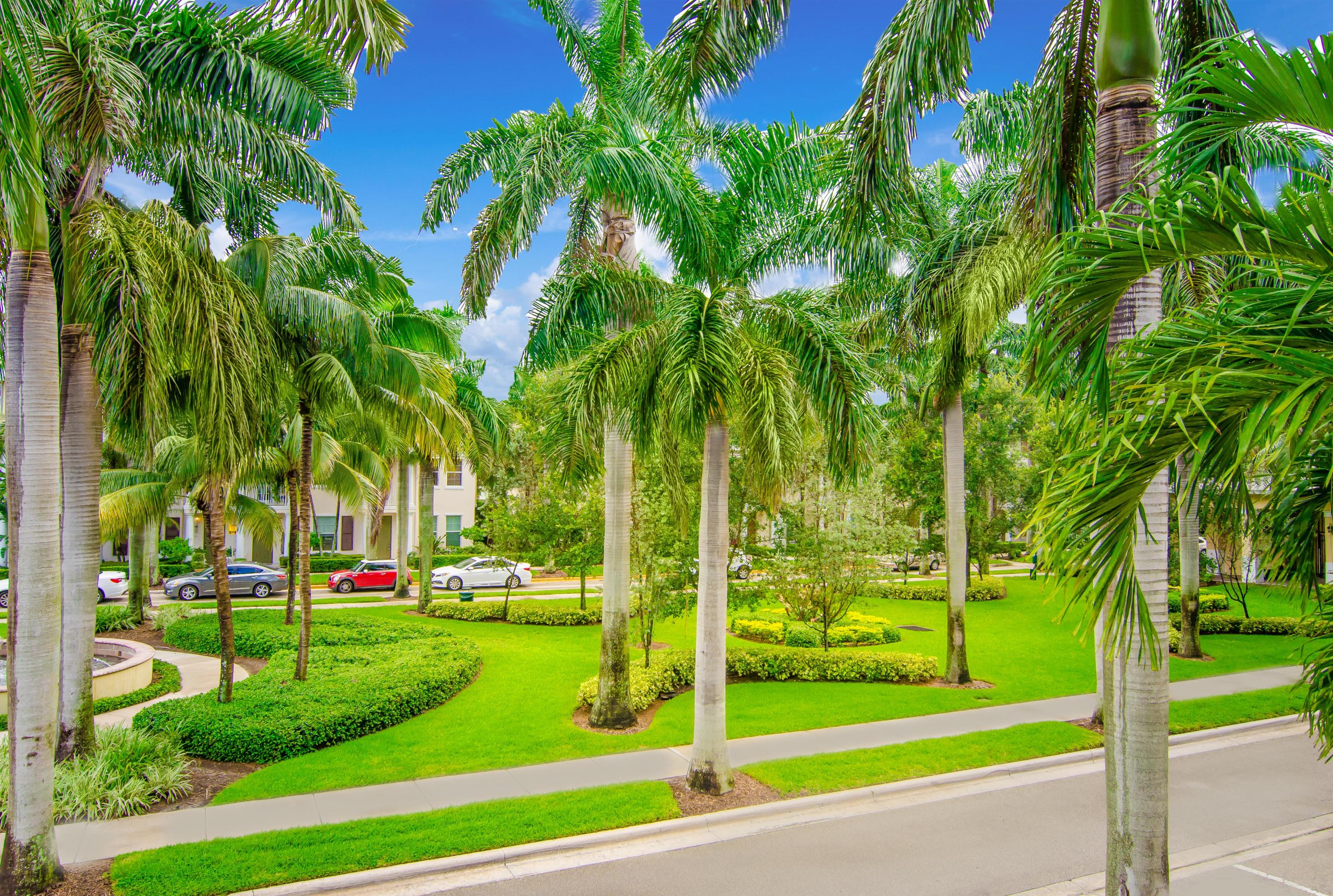 4281 East Main Street Jupiter, FL 33458 - Photo 9 of 37 a view of a park with palm trees