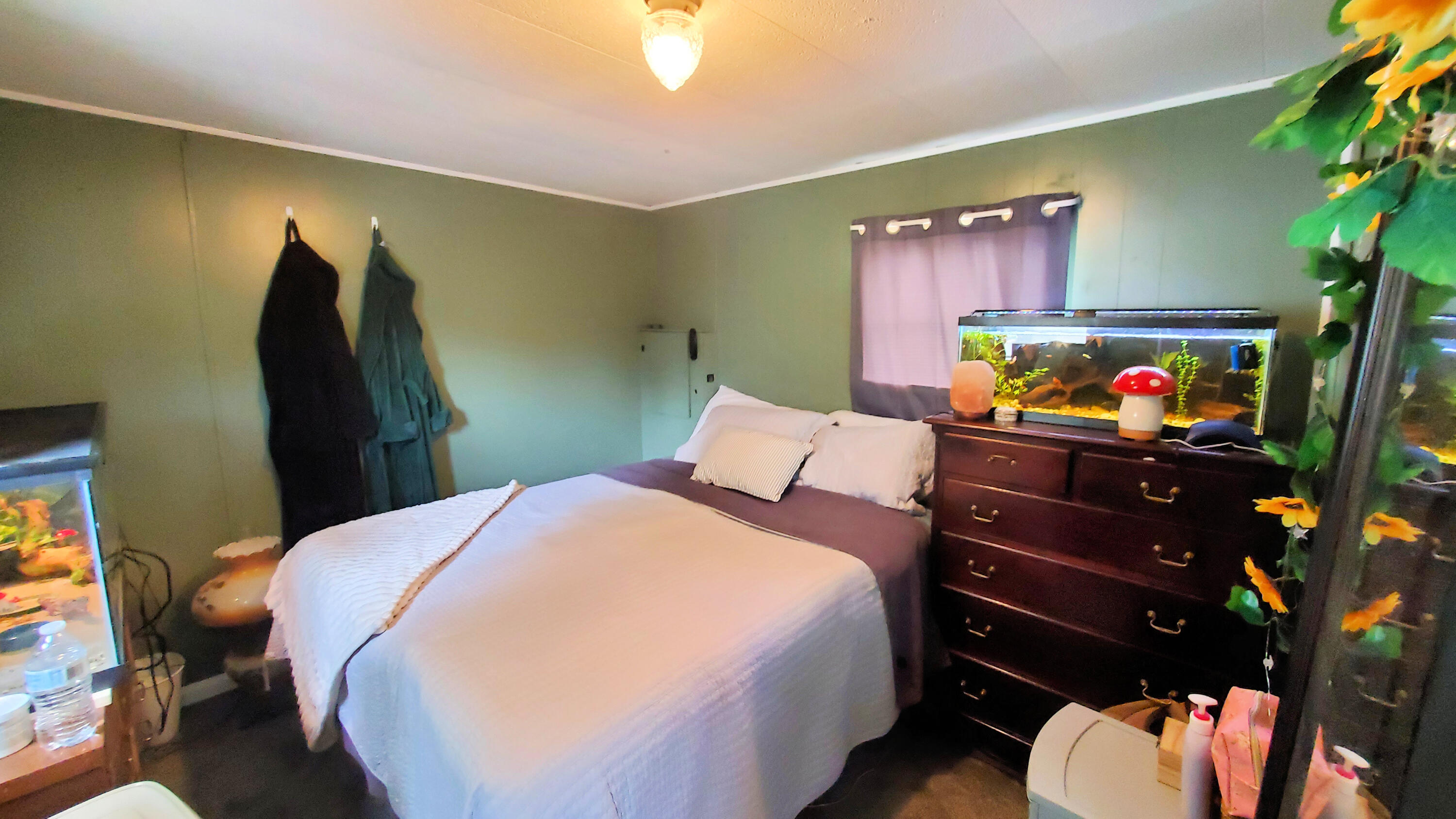 5 Ellen Drive Holden, ME 04429 - Photo 21 of 32 20240731_134331