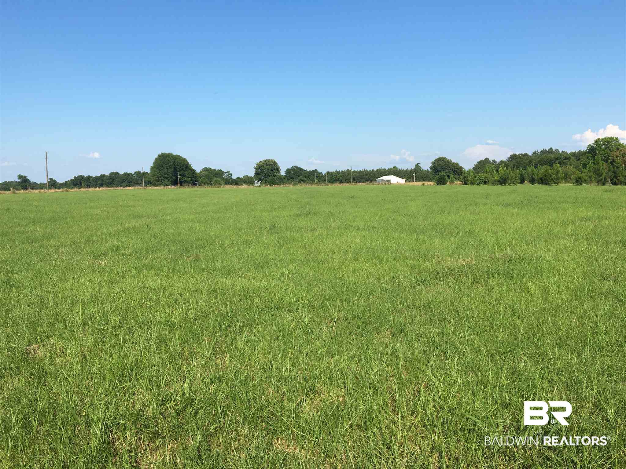 321 W Street Monroeville, AL 36460 - Photo 6 of 6