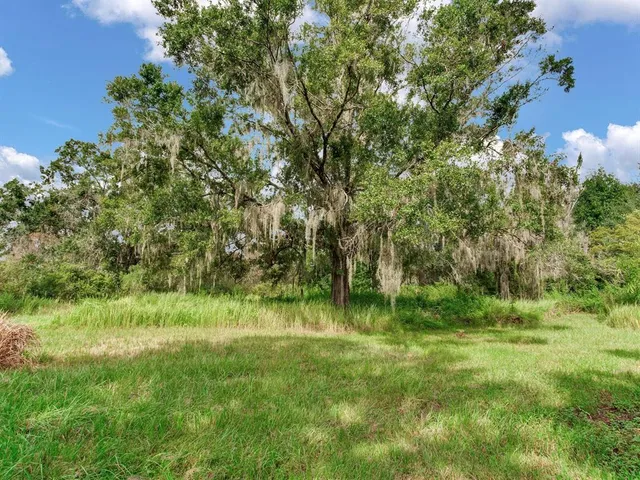 a backyard of a house with lots of green space