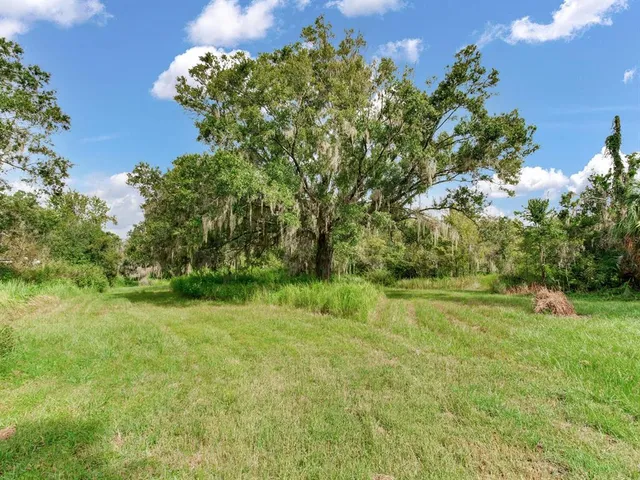 a view of a green field with lots of bushes