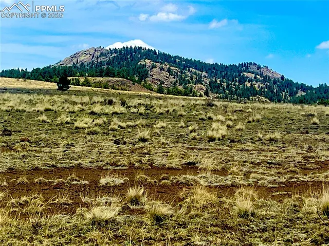 a view of a yard with an outdoor space