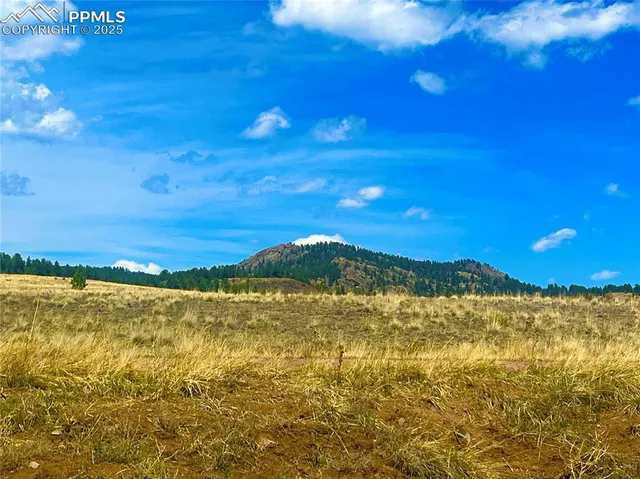 a view of an ocean from a yard