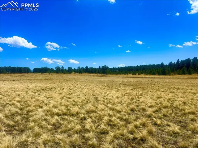 a view of an ocean beach