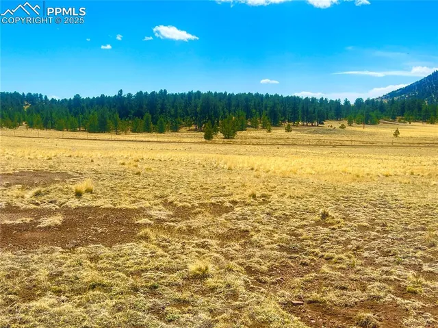 a view of a yard with swimming pool