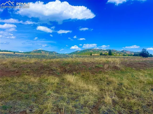 a view of an outdoor space and a yard