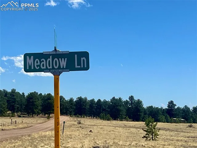 a view of a backyard of the house and a road