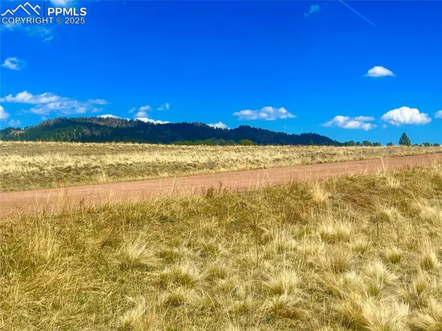 $48,000 | 90 Meadow Lane, Guffey, CO 80820
