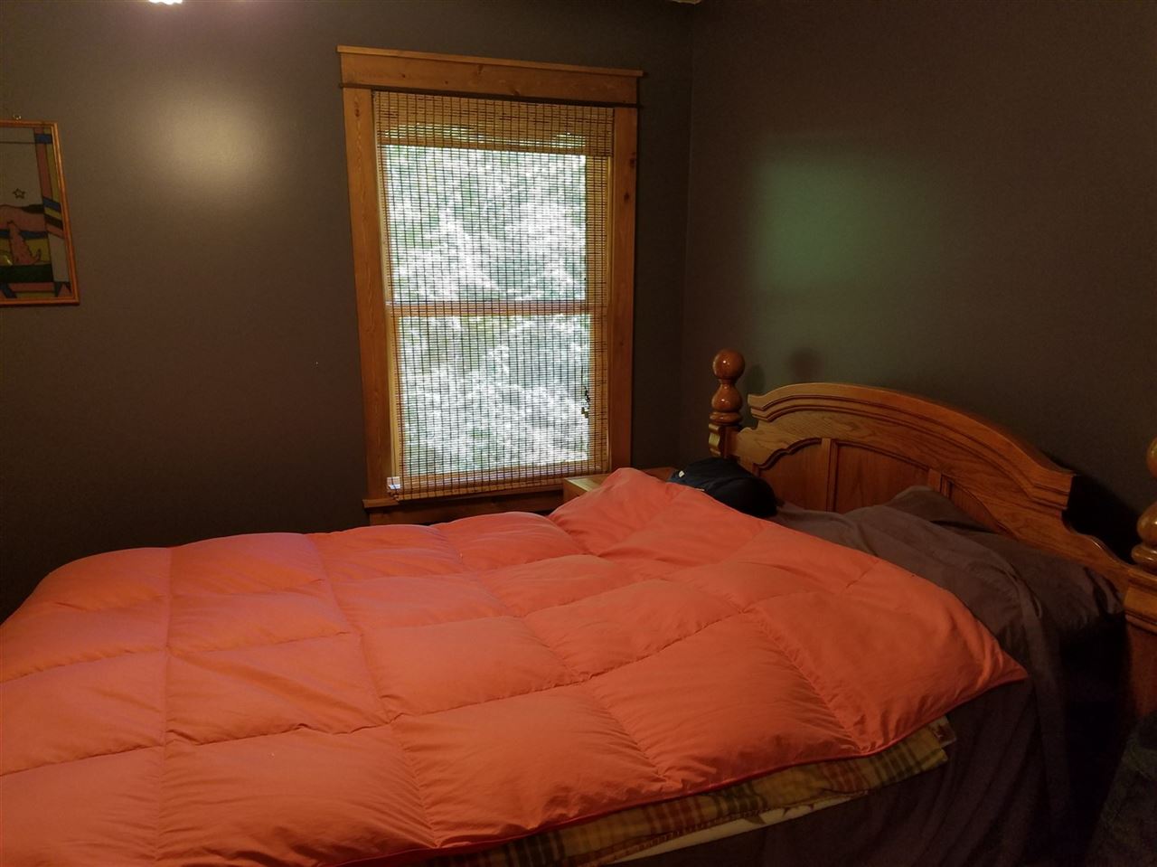 3754 Grace Road Frankfort, MI 49635 - Photo 15 of 35 1820343-14.JPG