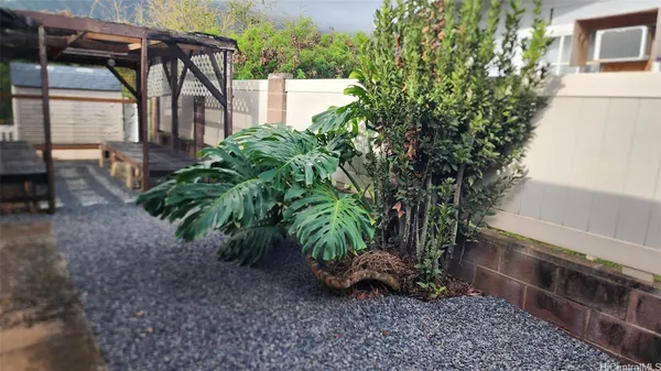 a view of backyard with plants and a lawn chairs