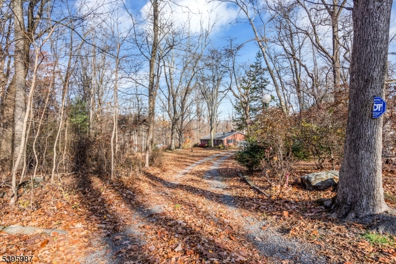 106 Rocktown Road Ringoes, NJ 08551 - Photo 2 of 36 a view of yard with trees