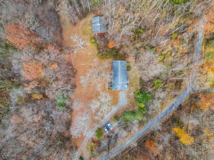 a city view with tall trees