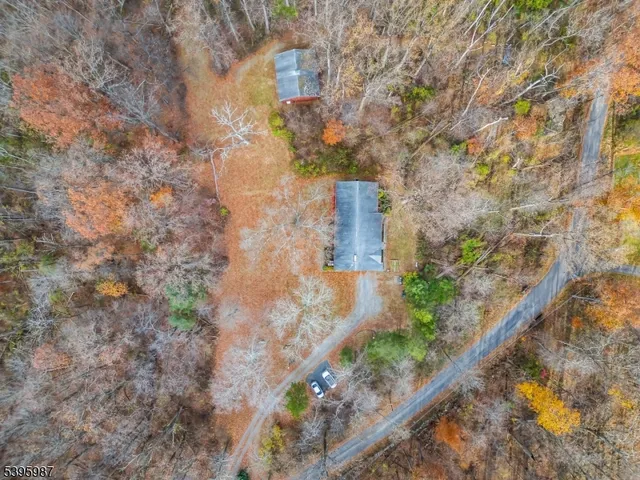 a city view with tall trees
