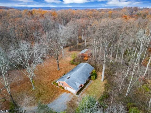 a view of a yard with a forest