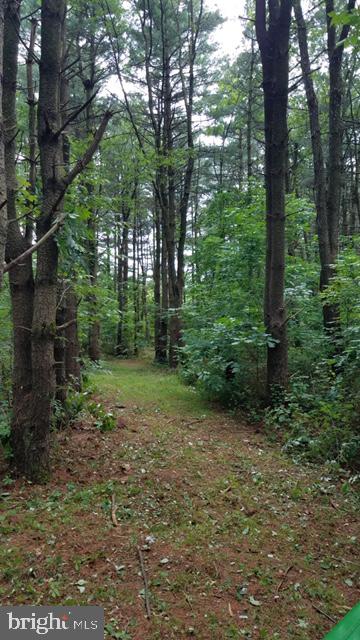 Lot 5 Boyd Road Clear Spring, MD 21722 - Photo 4 of 11