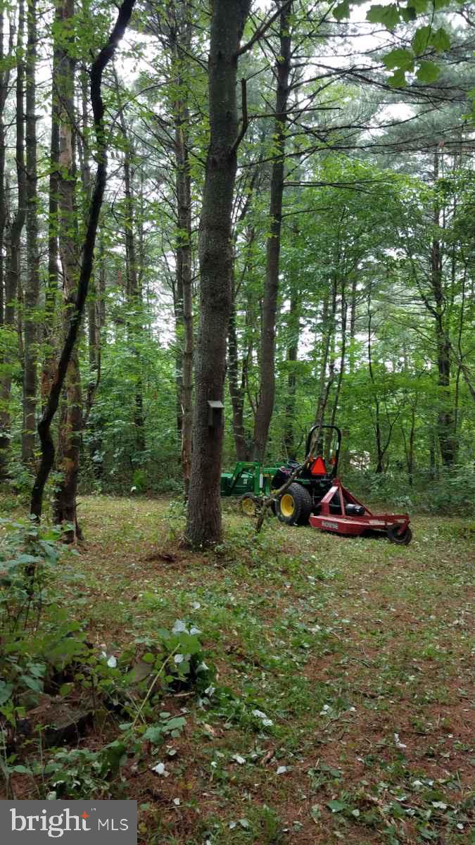 Lot 5 Boyd Road Clear Spring, MD 21722 - Photo 5 of 11