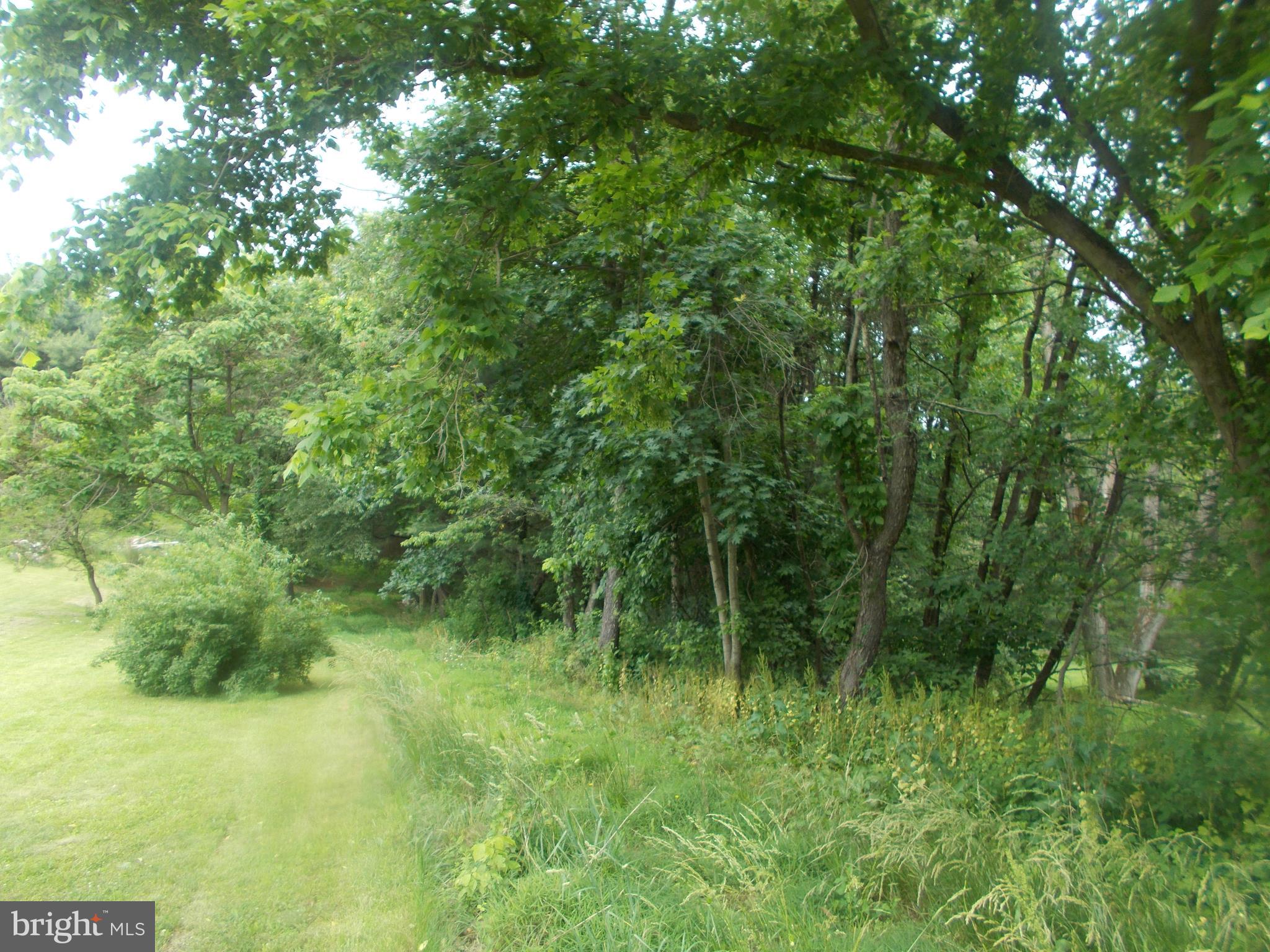 Lot 5 Boyd Road Clear Spring, MD 21722 - Photo 6 of 11