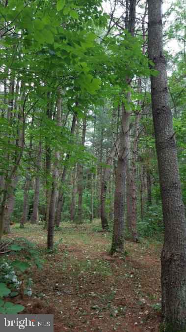 Lot 5 Boyd Road Clear Spring, MD 21722 - Photo 8 of 11