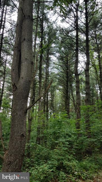 Lot 5 Boyd Road Clear Spring, MD 21722 - Photo 9 of 11