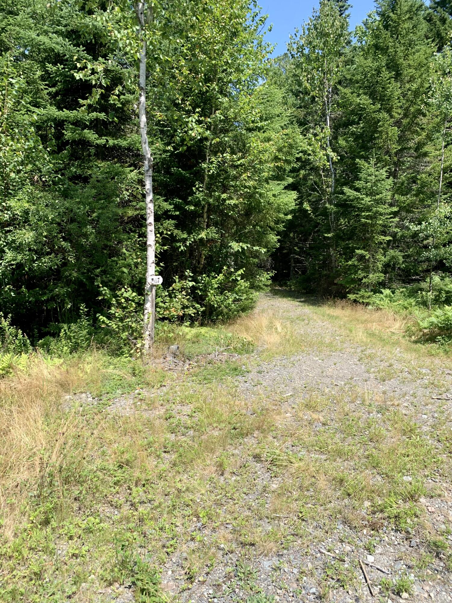 Lot 8 North Shores Road Lubec, ME 04652 - Photo 25 of 25 IMG_5428