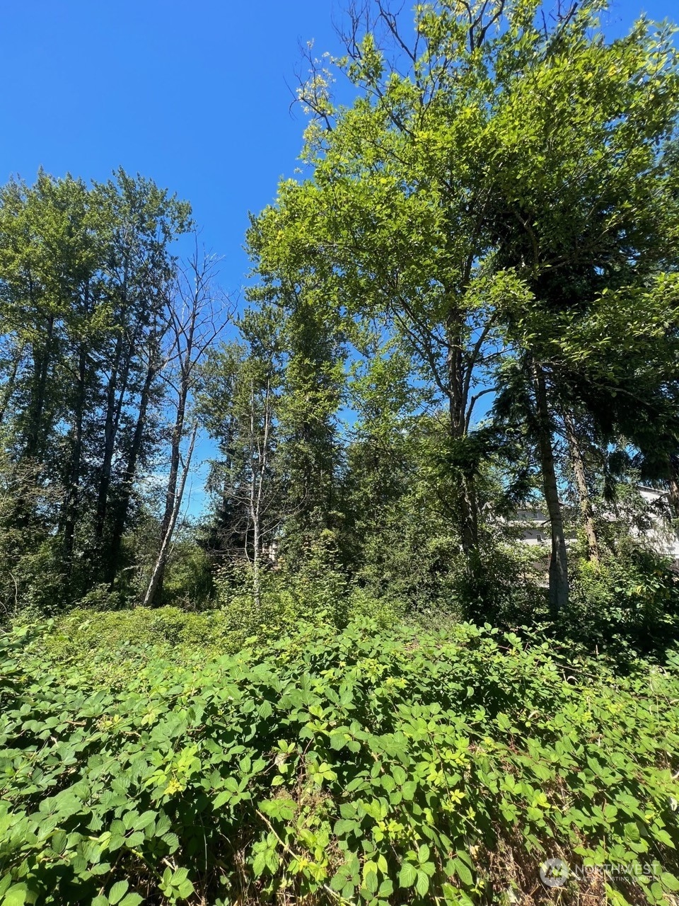 14000 Center Road Everett, WA 98204 - Photo 14 of 20