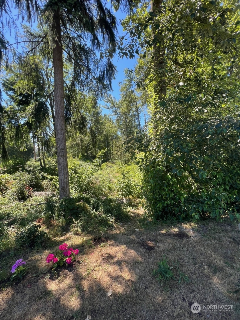 14000 Center Road Everett, WA 98204 - Photo 15 of 20