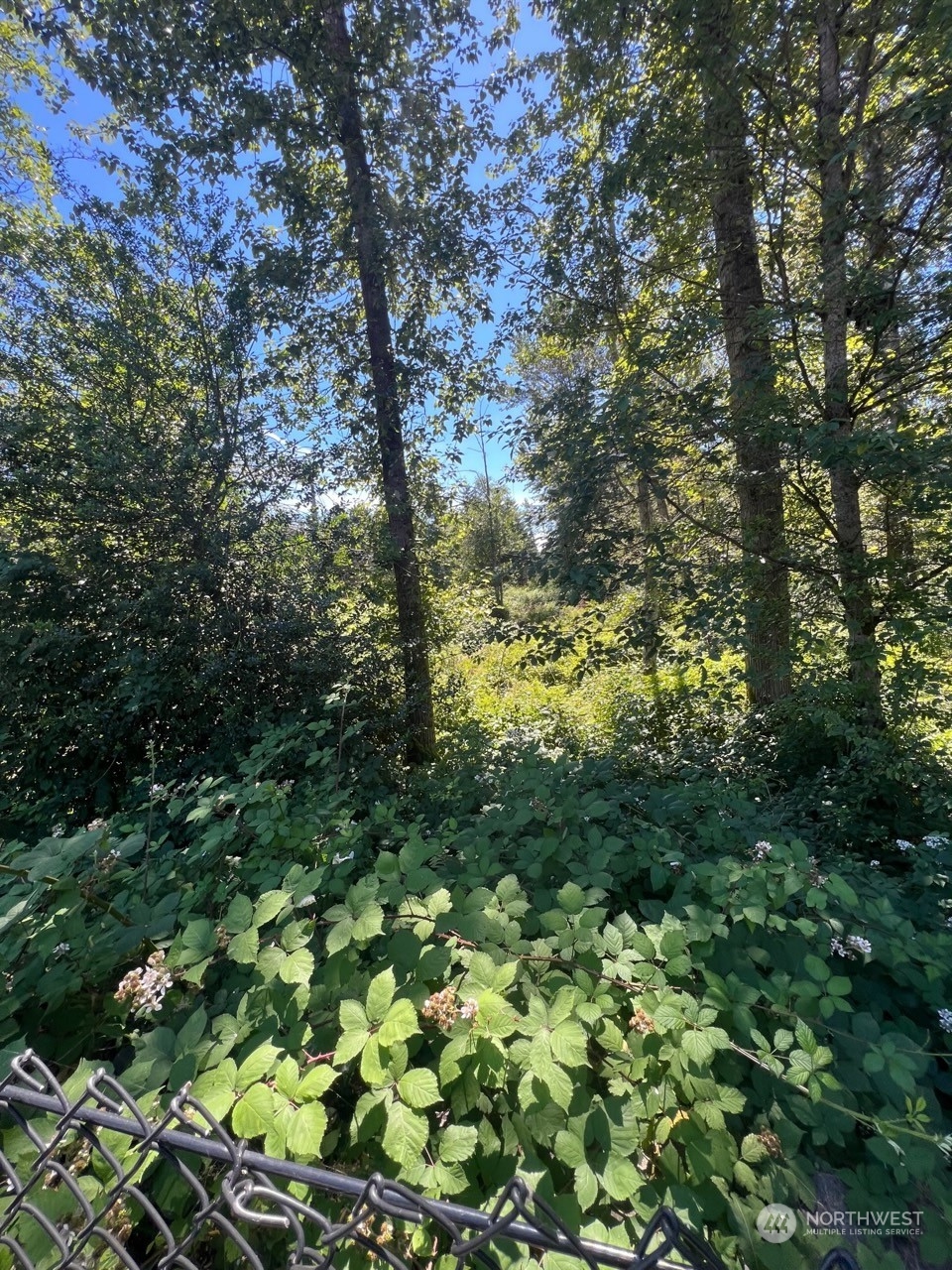 14000 Center Road Everett, WA 98204 - Photo 16 of 20