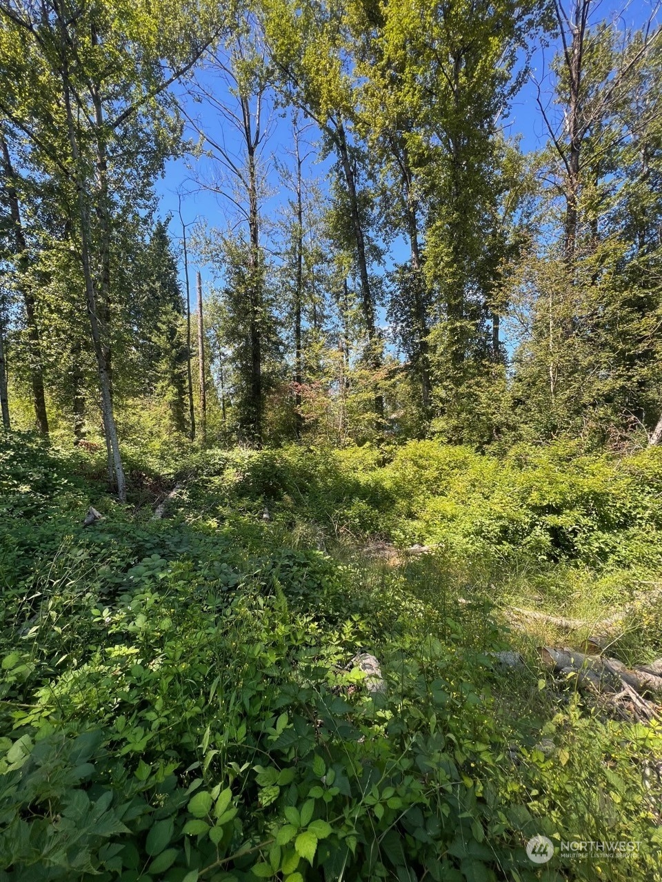 14000 Center Road Everett, WA 98204 - Photo 7 of 20