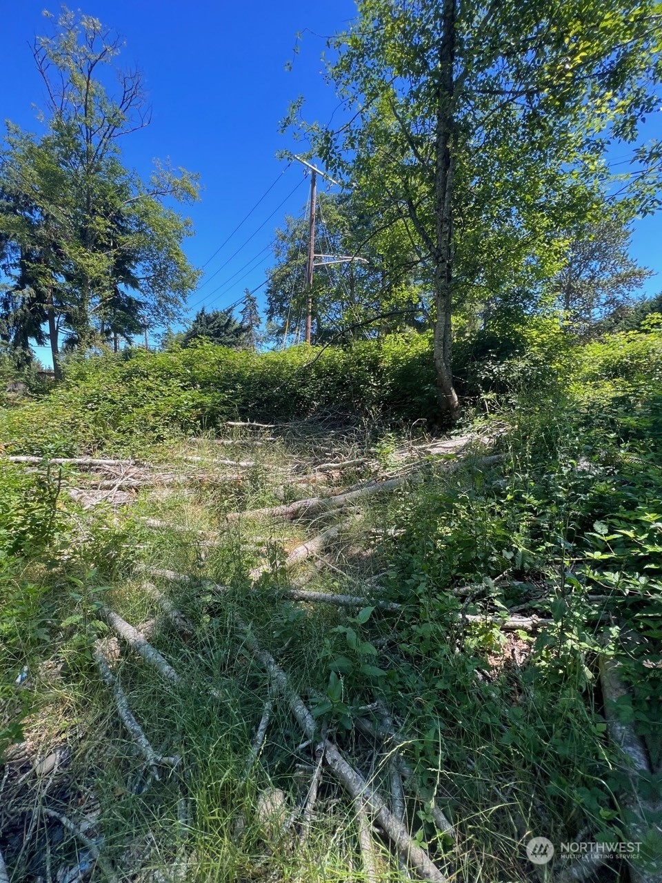 14000 Center Road Everett, WA 98204 - Photo 10 of 20