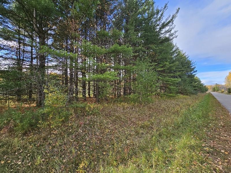 20 Acres Deerhaven Road Alger, MI 48610 - Photo 2 of 6