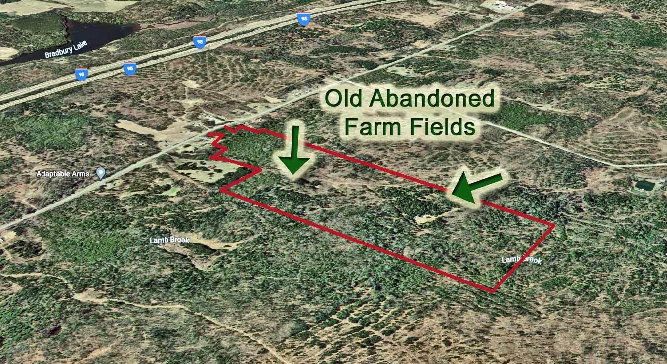 Lot 6 Ludlow Road Houlton, ME 04730 - Photo 5 of 28 abandoned-farm-field-me-lan