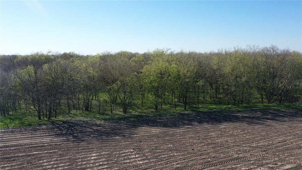 Tbd North Cemetery Road Collinsville, TX 76233 - Photo 21 of 26 a view of a yard with trees