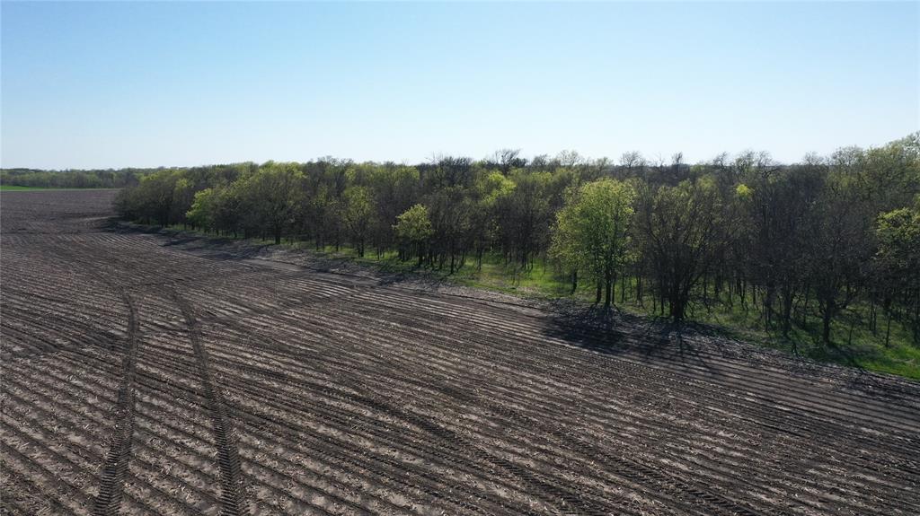 Tbd North Cemetery Road Collinsville, TX 76233 - Photo 22 of 26 a view of a dirt road with trees