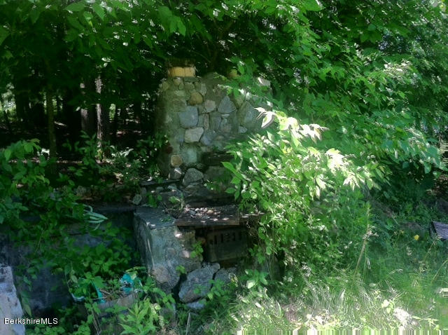 84 Windsor Pond Road Windsor, MA 01270 - Photo 35 of 46 a plant view