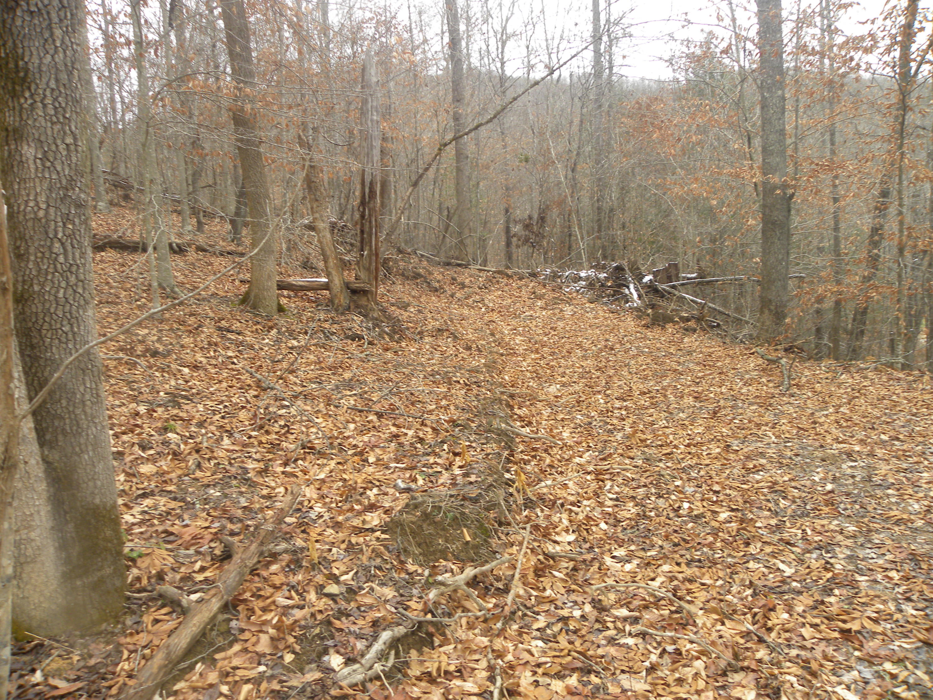 Lot 8 Laco Road Huntsville, TN 37756 - Photo 14 of 19 DSCN7047