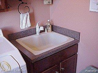 59953 9 Mile Road South Lyon, MI 48178 - Photo 16 of 17 UTILITY SINK