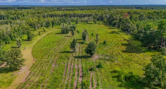 $745,000 | 1616 Northwest Flowers Road, Madison, FL 32340