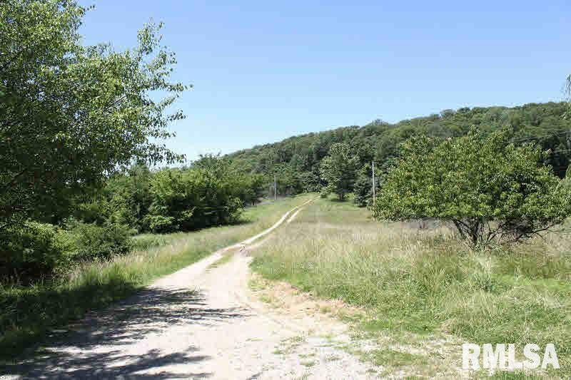 910 Kerr Canyon Road Cobden, IL 62920 - Photo 3 of 24 Gallery Image 3