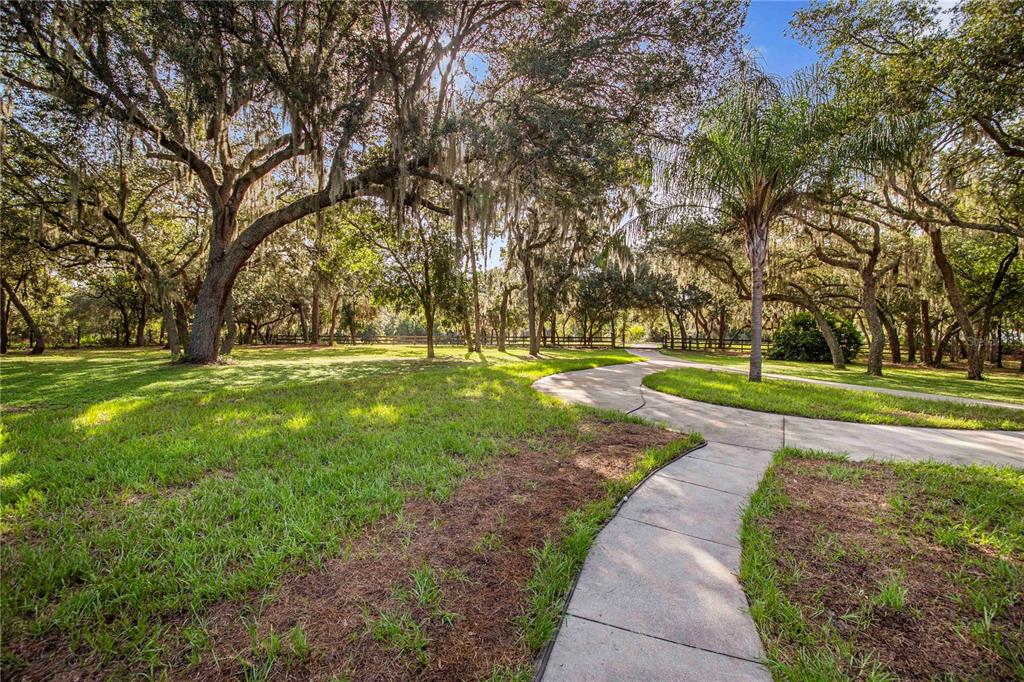 10740 Jim Edwards Road Haines City, FL 33844 - Photo 53 of 66