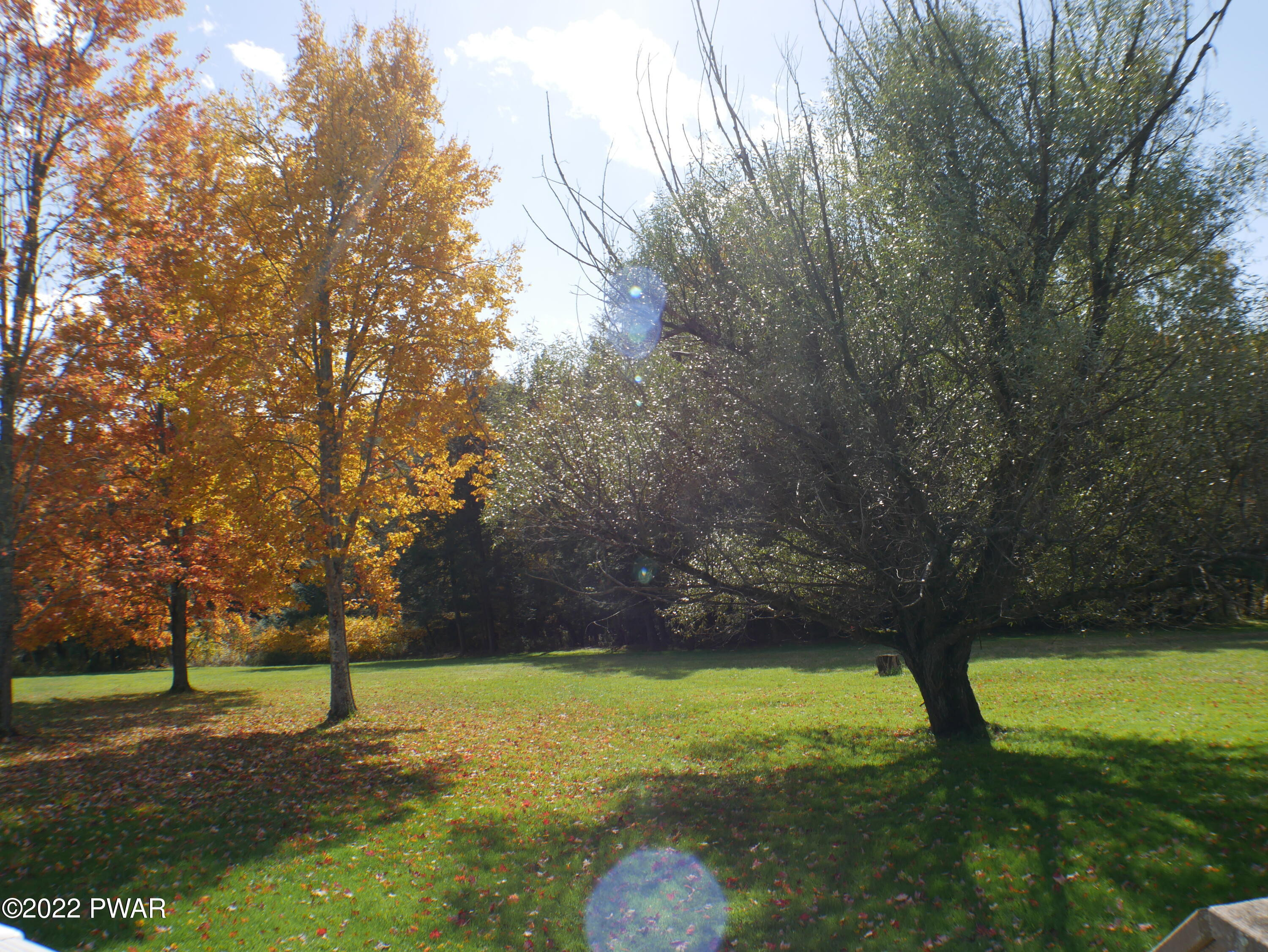 1259 Dougherty Road Meshoppen, PA 18630 - Photo 36 of 61 Yard