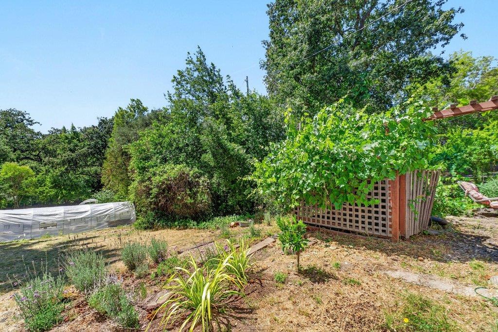 8484 East Zayante Road Felton, CA 95018 - Photo 40 of 58
