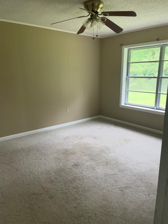 1381 Franklin Road Heflin, LA 71039 - Photo 9 of 11 Gallery Image 9