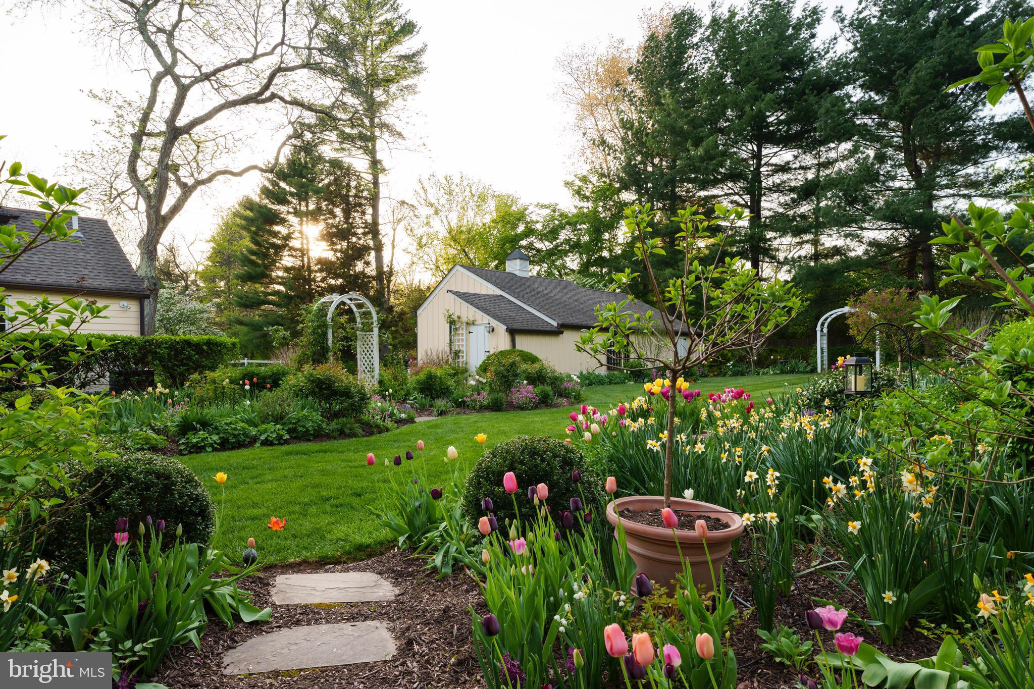 4445 Province Line Road Princeton, NJ 08540 - Photo 40 of 45 a view of a garden with plants and large trees