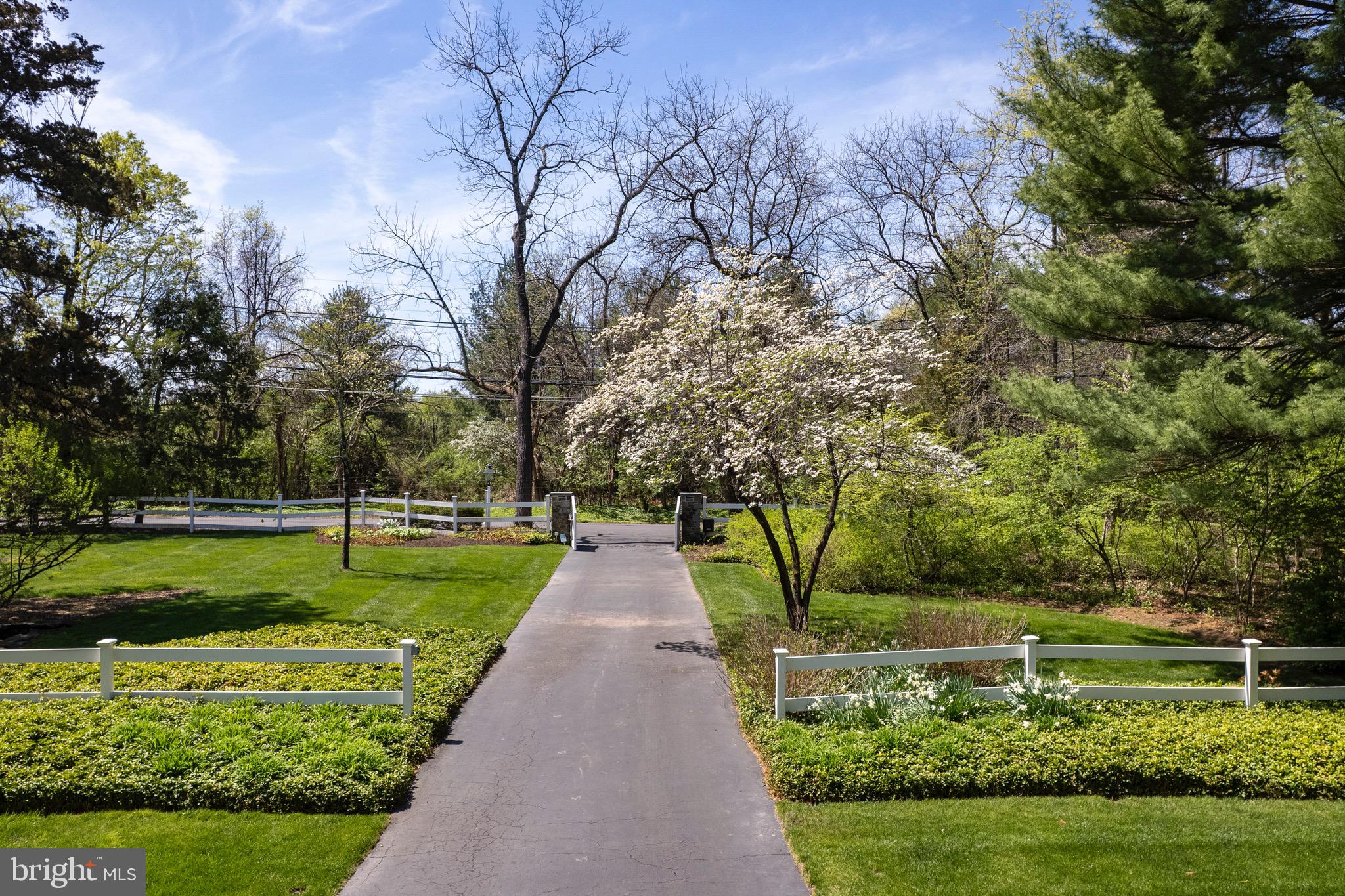 4445 Province Line Road Princeton, NJ 08540 - Photo 45 of 45 a view of a park with large trees