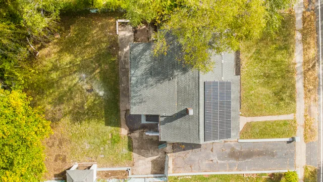 a view of a yard with plants and trees