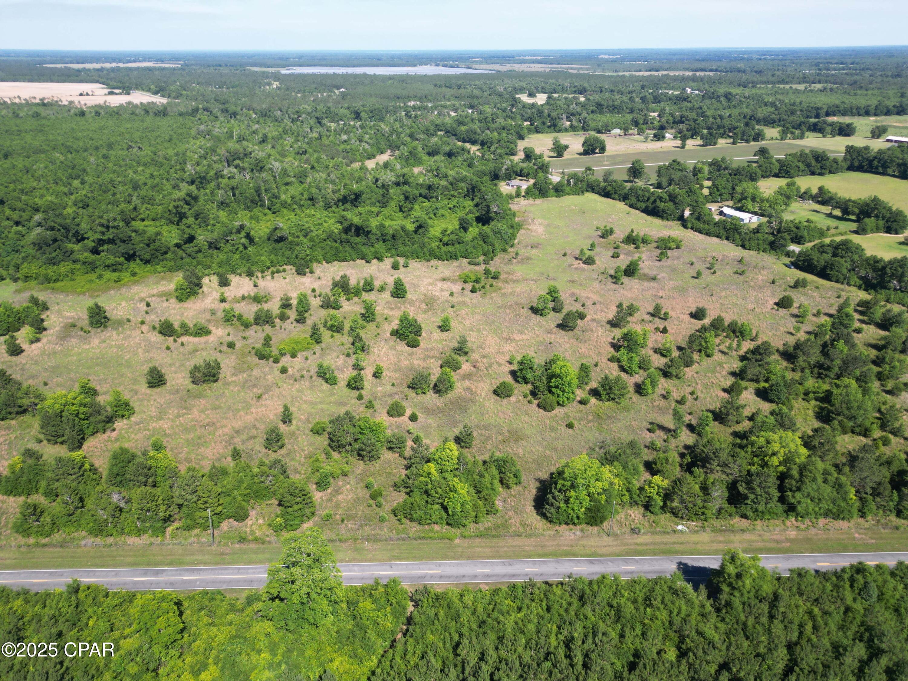 0 Blue Springs Road Greenwood, FL 32443 - Photo 6 of 15
