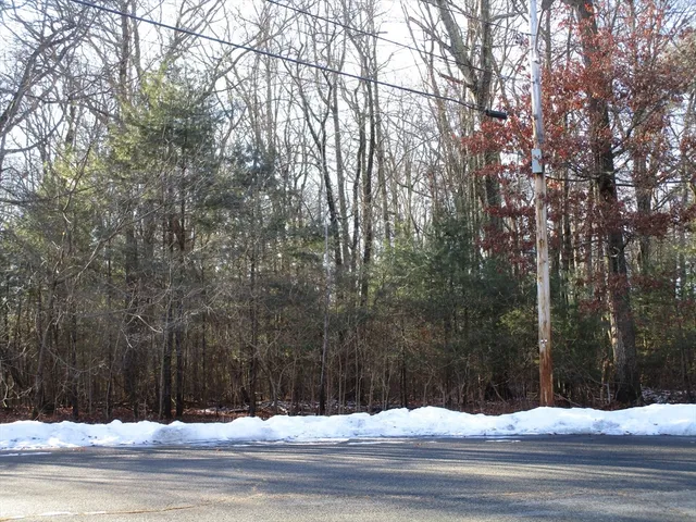 a view of road with trees