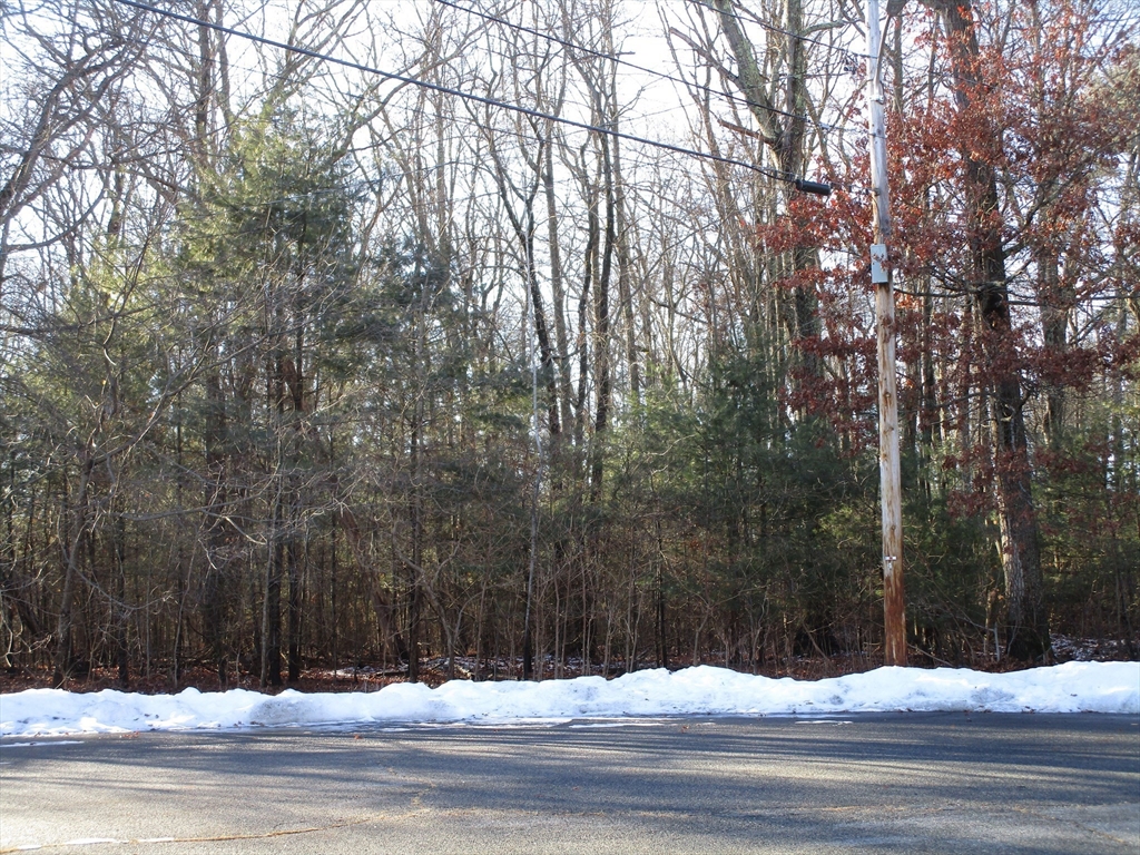 a view of road with trees