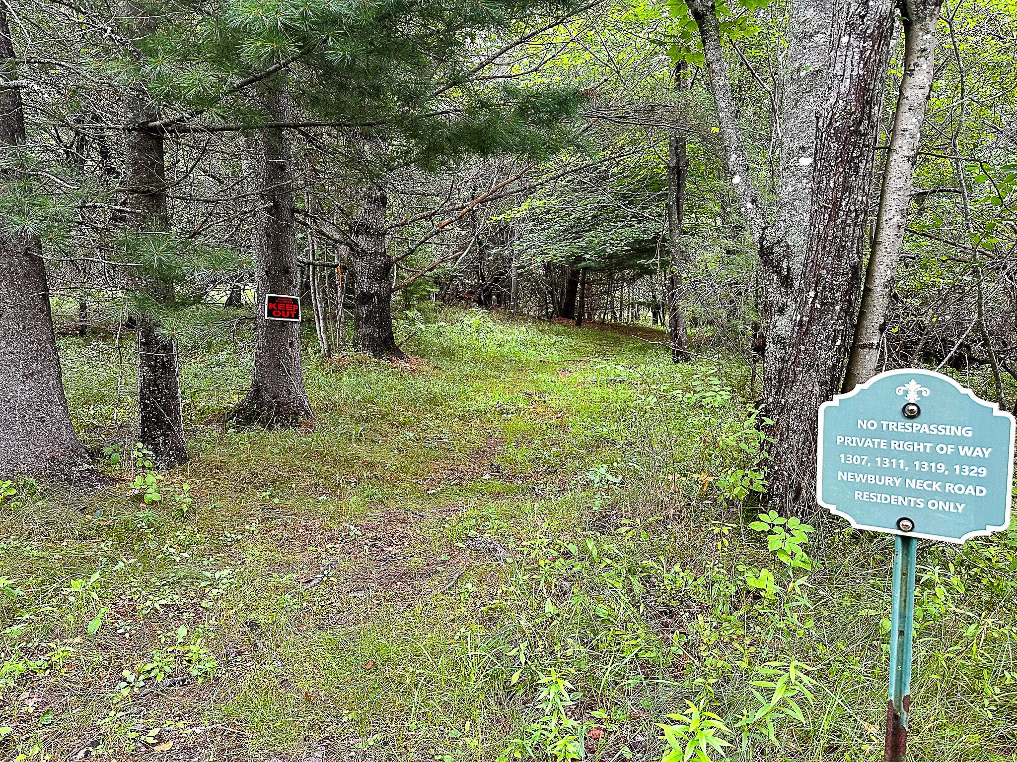 1319 Newbury Neck Road Surry, ME 04684 - Photo 61 of 68 Start of the path to shore, ROW.